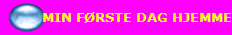 MIN F�RSTE DAG HJEMME