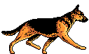 hund.gif (4762 bytes)